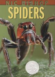 Book Cover for NIC BISHOP SPIDERS
