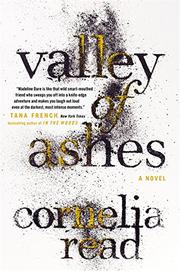 Cover art for VALLEY OF ASHES
