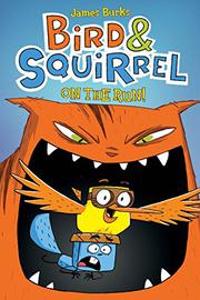Book Cover for BIRD & SQUIRREL ON THE RUN