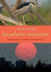Cover art for BAYSHORE SUMMER