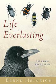 Cover art for LIFE EVERLASTING