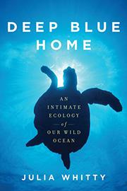 Book Cover for DEEP BLUE HOME