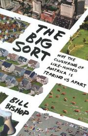 Book Cover for THE BIG SORT
