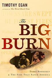 Book Cover for THE BIG BURN