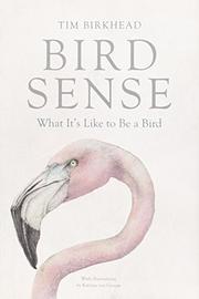 Cover art for BIRD SENSE
