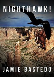 Cover art for NIGHTHAWK!