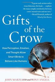 Cover art for GIFTS OF THE CROW
