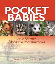 Cover art for POCKET BABIES