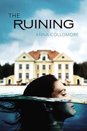 Book Cover for THE RUINING