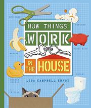 Book Cover for HOW THINGS WORK IN THE HOUSE