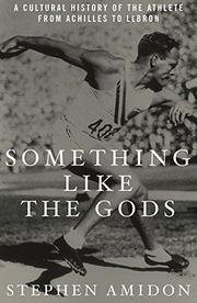 Book Cover for SOMETHING LIKE THE GODS