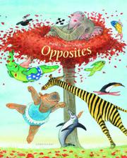 Cover art for OPPOSITES
