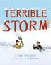 Cover art for TERRIBLE STORM