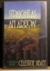 Cover art for STRAIGHT AS AN ARROW