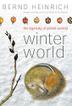 Cover art for WINTER WORLD