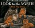 Cover art for LOOK TO THE NORTH