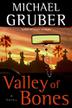 Cover art for VALLEY OF THE BONES