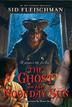 Cover art for THE GHOST IN THE NOONDAY SUN