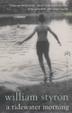 Cover art for A TIDEWATER MORNING