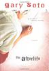Cover art for THE AFTERLIFE