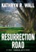 Cover art for RESURRECTION ROAD