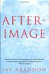 Cover art for AFTERIMAGE