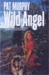 Cover art for THE WILD ANGEL