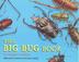 Cover art for THE BIG BUG BOOK