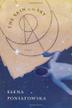 Cover art for THE SKIN OF THE SKY