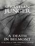 Cover art for A DEATH IN BELMONT