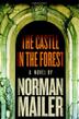 Cover art for THE CASTLE IN THE FOREST