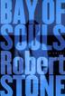 Cover art for BAY OF SOULS