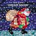 Cover art for DREAM SNOW