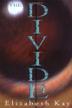 Cover art for THE DIVIDE