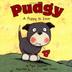 Cover art for PUDGY