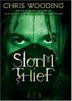 Cover art for STORM THIEF