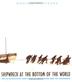 Cover art for SHIPWRECK AT THE BOTTOM OF THE WORLD