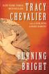 Cover art for BURNING BRIGHT