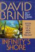 Cover art for INFINITY'S SHORE