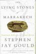 Cover art for THE LYING STONES OF MARRAKECH