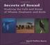 Cover art for SECRETS OF SOUND