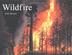 Cover art for WILDFIRE