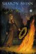 Cover art for THE SAFE-KEEPER’S SECRET