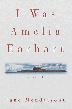 Cover art for I WAS AMELIA EARHART