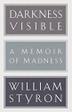 Cover art for DARKNESS VISIBLE