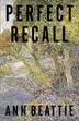 Cover art for PERFECT RECALL