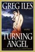 Cover art for TURNING ANGEL