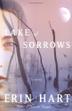 Cover art for LAKE OF SORROWS