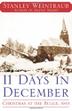 Cover art for 11 DAYS IN DECEMBER