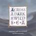Cover art for ACROSS A DARK AND WILD SEA